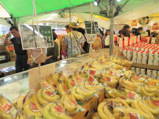 幻のタイフェス２０ 奇跡といわれる希少品種 タイのホムトンバナナ グロス ミシェル種 毎日カレー と タイ料理 By エスニカン