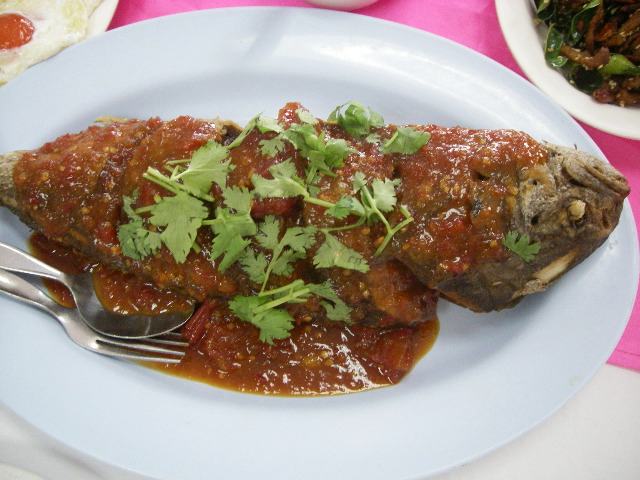豪快 美味 タイの雷魚 プラー チョン 料理 毎日カレー と タイ料理 By エスニカン 豪快 美味 タイの雷魚 プラー チョン 料理 毎日カレー と タイ料理 By エスニカン