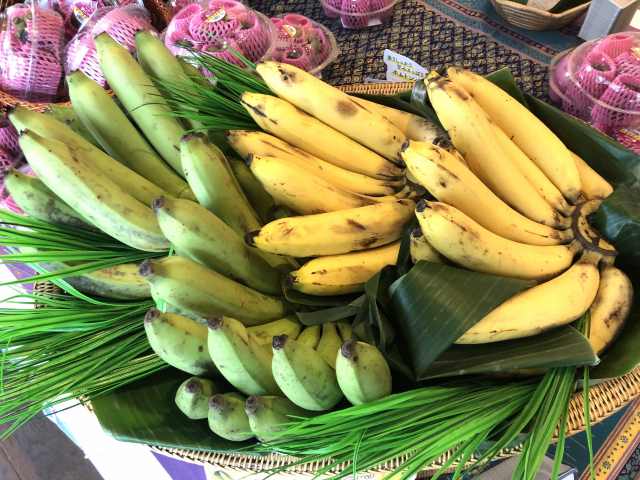 タイ王国だけで生き残った希少バナナ「ホムトン」（グロス・ミシェル種