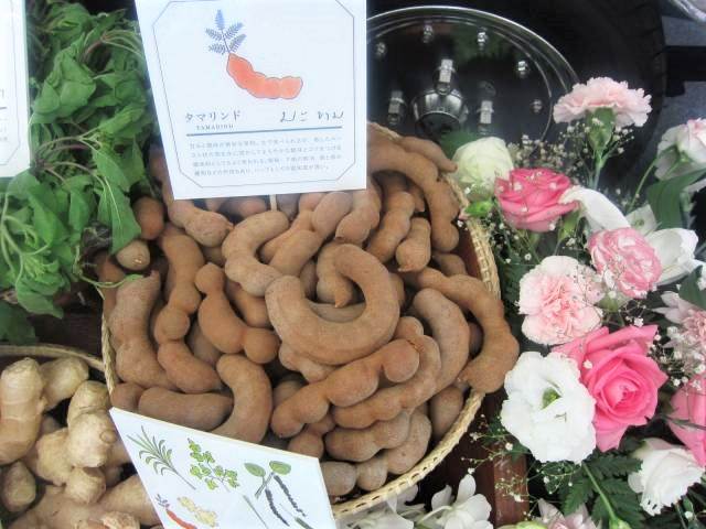 カルディで見つけたタイ産 バナナチップスサンド と タマリンドってなに 毎日カレー と タイ料理 By エスニカン