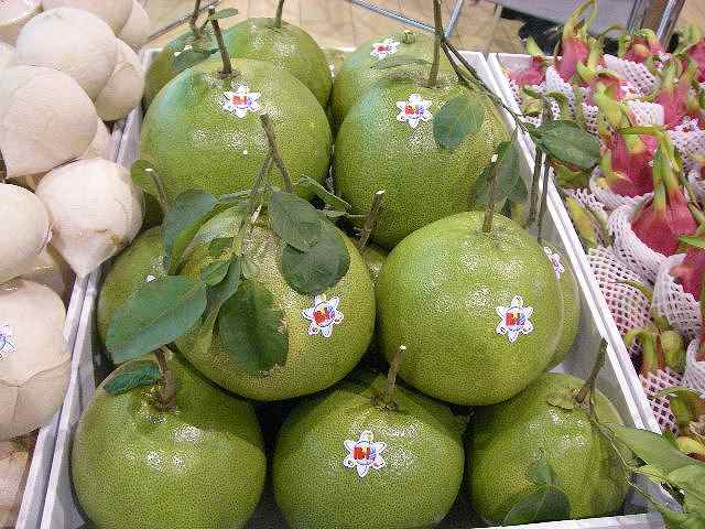 食品 タイ産ポメロ一箱