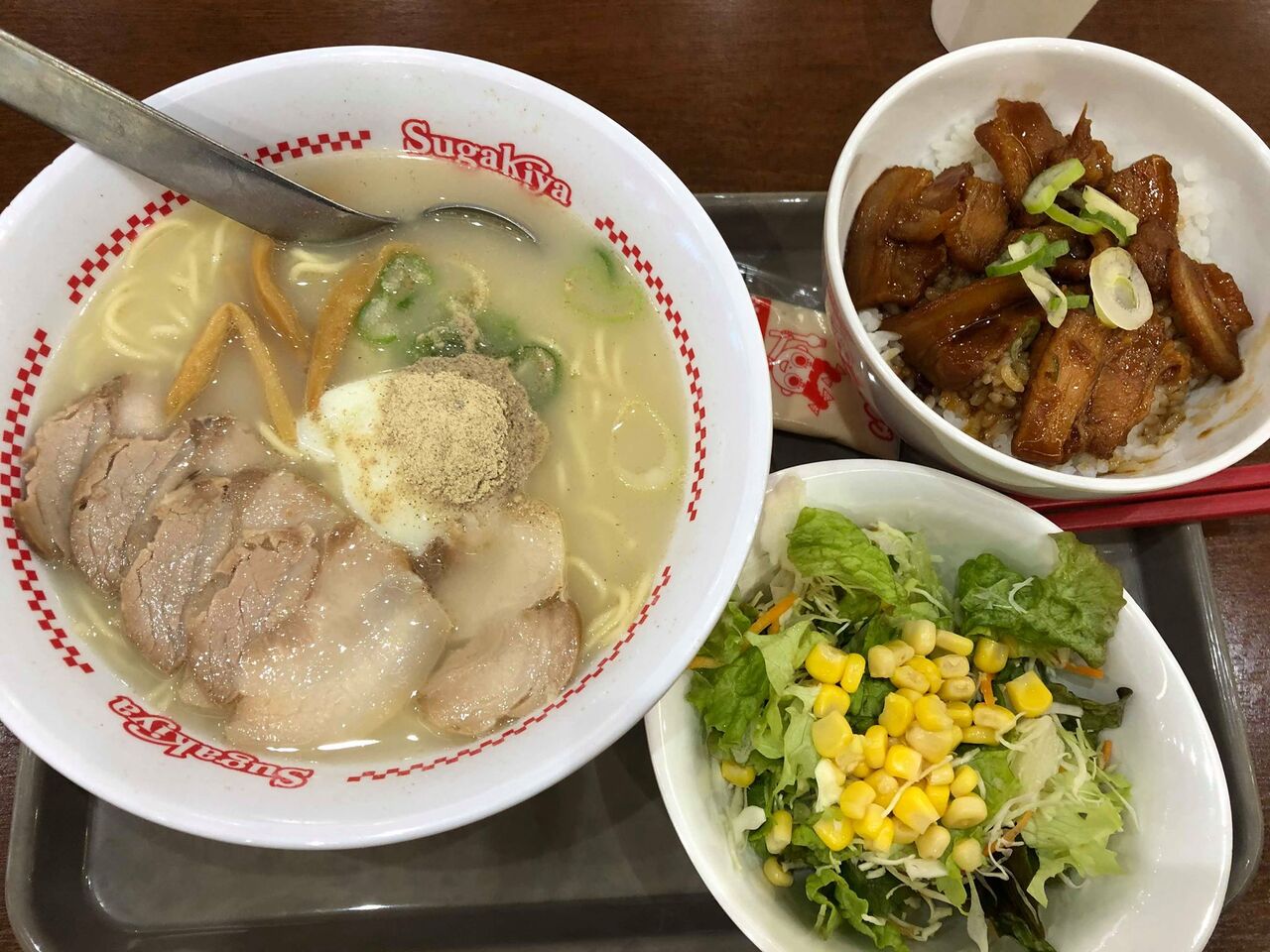 滋賀守山 フードコート 湖畔のテラスでラーメン スガキヤ ピエリ守山店 まぼのグルメ日記 滋賀守山 フードコート 湖畔のテラスでラーメン スガキヤ ピエリ守山店 まぼのグルメ日記