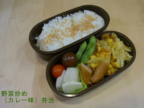 20160126弁当