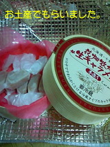 72d041a5.jpg