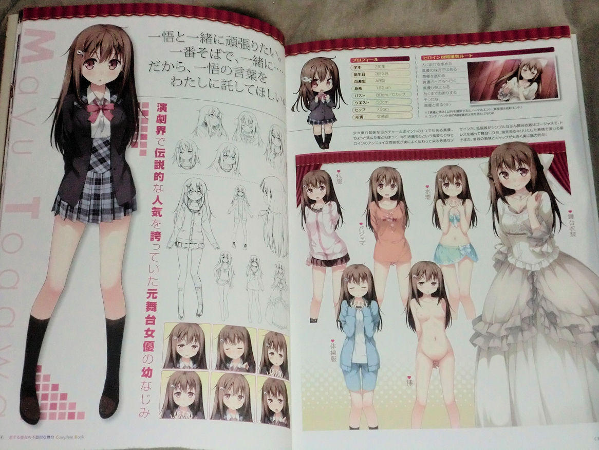 恋する彼女の不器用な舞台complete Book Your Diary のイラストも収録 Ma Saブログ２