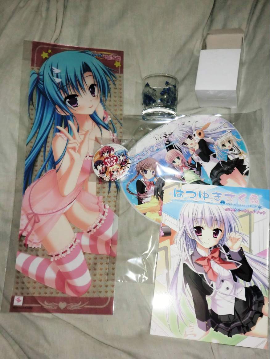ドリパのサガプラグッズ届いた そして今夏イベントで私は結局何枚抱き枕カバーを購入したのか Ma Saブログ2 ドリパのサガプラグッズ届いた そして今夏イベントで私は結局何枚抱き枕カバーを購入したのか Ma Saブログ2