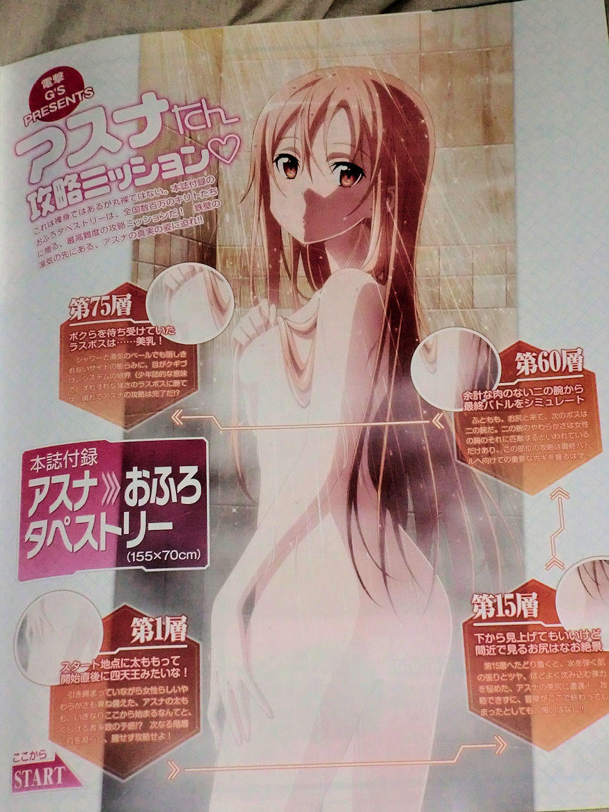 電撃g S Festival Vol 29 アスナシャワータペストリー 湯気を消すスキルがほしいね Ma Saブログ２