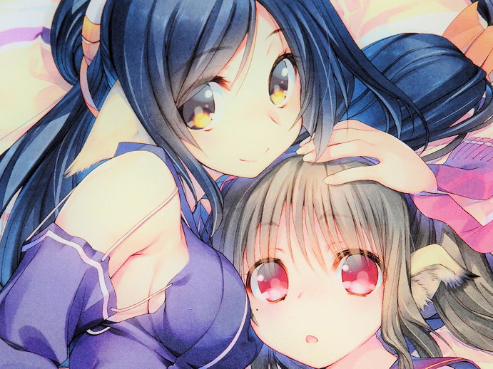 今月の購入ゲーム３本目ー うたわれるもの斬２ 届いた ワンフェス終わったら本気で始める けどちょっとやっていいよね Ma Saブログ２