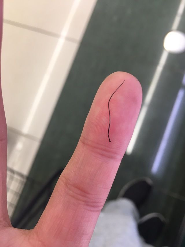 画像 ワイ君の取れたてホヤホヤのクソ長鼻毛wxwxwxwxwxwx