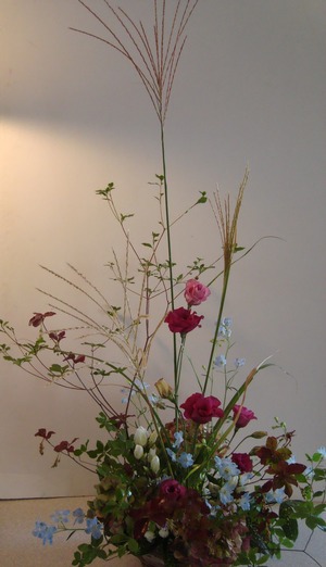 ☆花遊びDSC07207