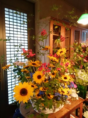 IMG_20190427_165134 (1)