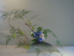 ☆花あそびDSC06906