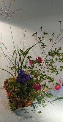 花遊び　９月２２日