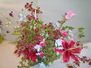 ☆花遊びDSC07231