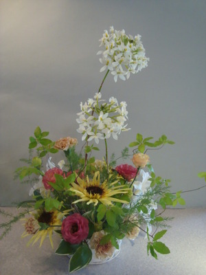 ☆おけいこDSC06754