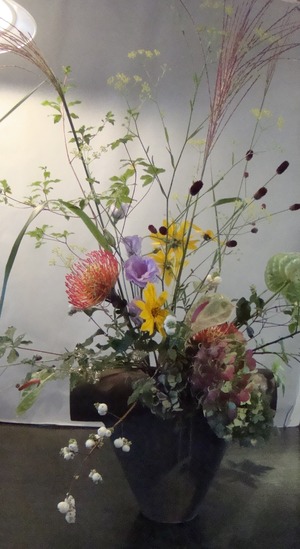 ☆花遊びDSC07245