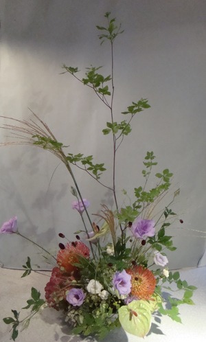 ☆花遊びDSC07248