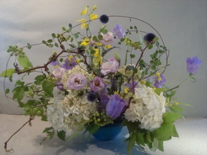 ☆花あそびDSC06861