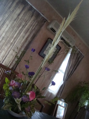 ☆花遊び8月DSC07098