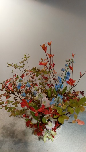 花遊び１０月２０日