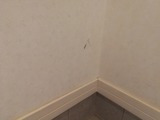 IMG_20201018_153258