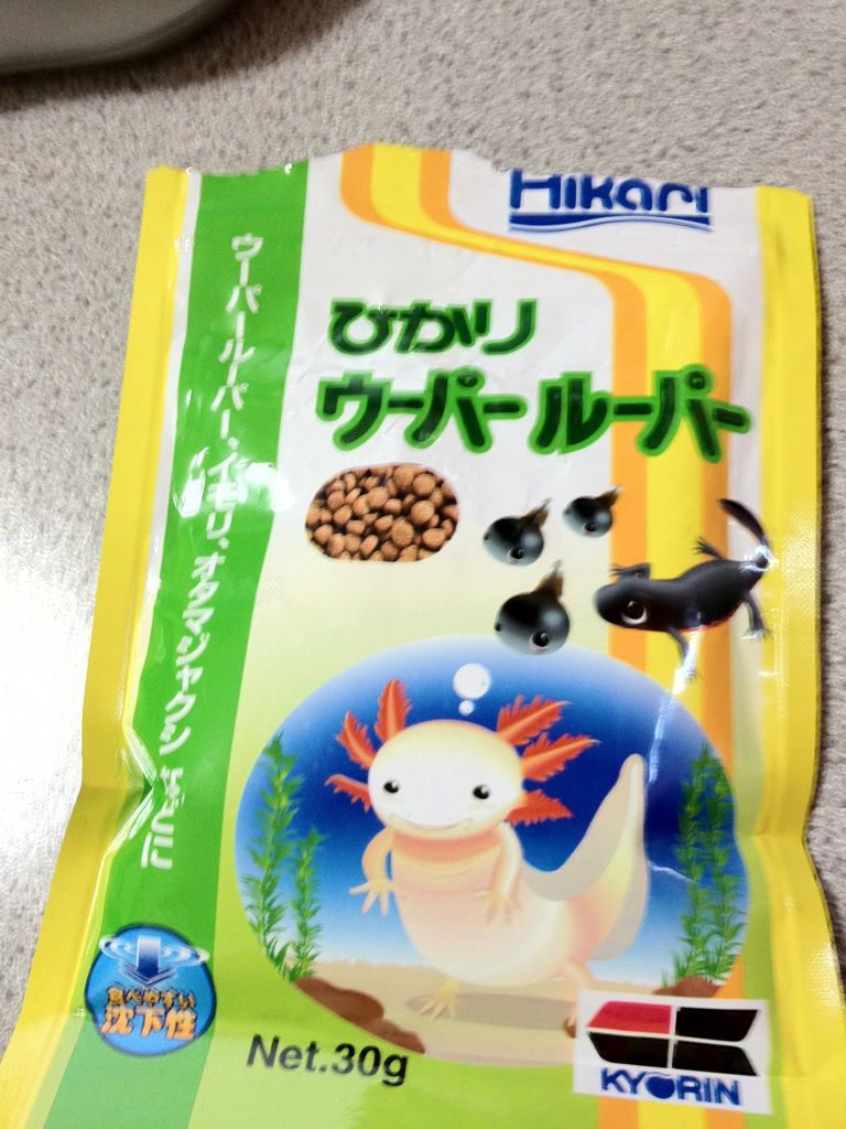 51日目 イモリの餌 イモリ飼育速報 51日目 イモリの餌 イモリ飼育速報