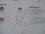 04753fa6.jpg