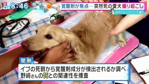 f95014964f89befd6afff65cb67c23d8