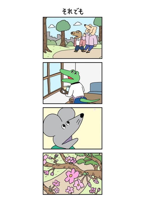 lYeL3QQ