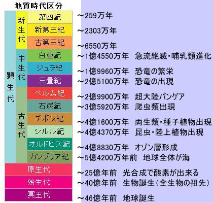 o0420040014579072197