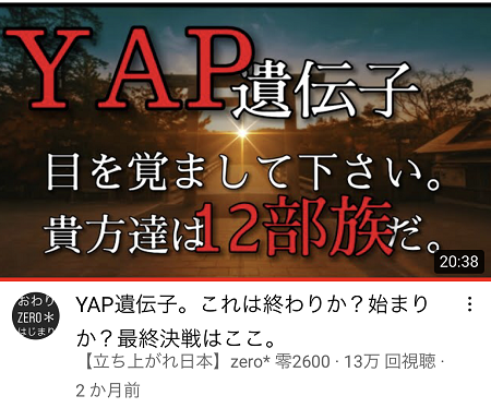 YAP2