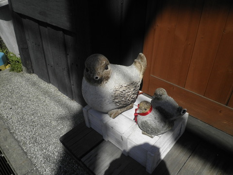 なぜ鳥が好きなのか ﾋｰﾘﾝｸﾞ ｼﾞｭｴﾘｰ まーるのブログ