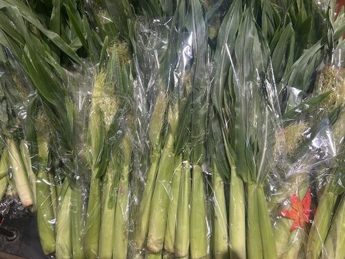 ヤングコーンが入りました！