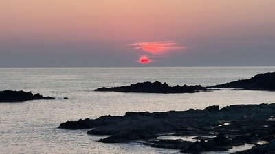 IMG_E3164