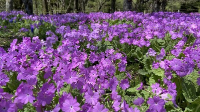 IMG_E7257