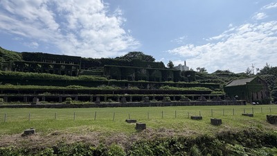 IMG_E3120