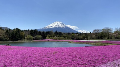 IMG_E7247