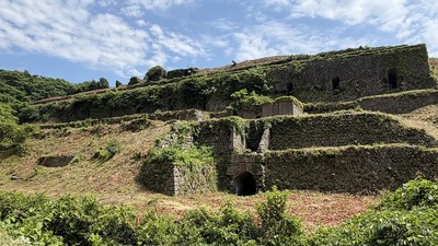 IMG_E3118