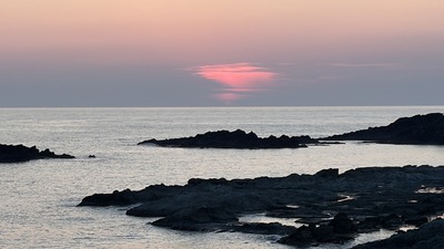 IMG_E3166
