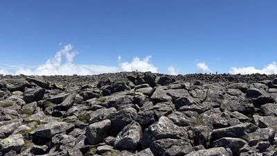 IMG_E3799
