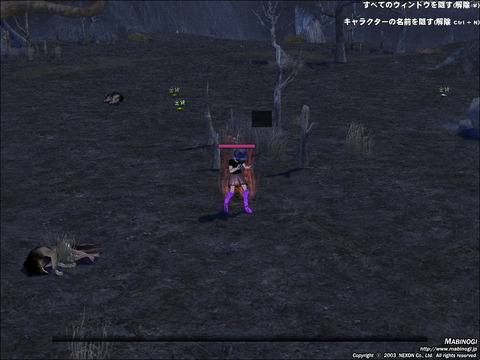 mabinogi_2013_03_16_001