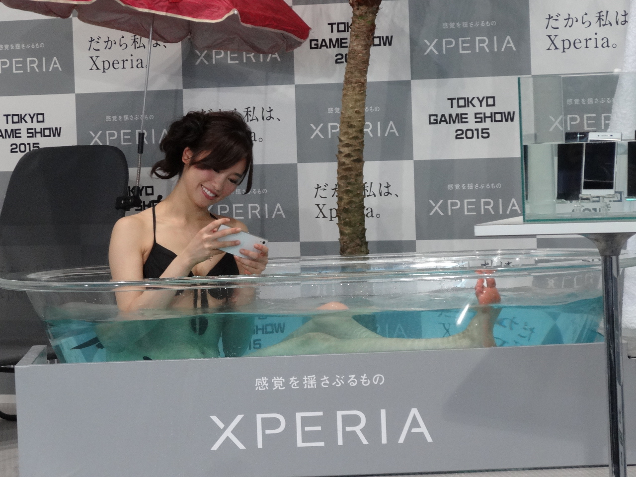 東京ゲームショウ15に行ってきました Pslabo