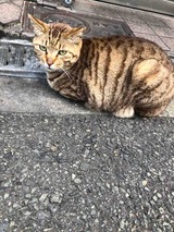 IMG_2836