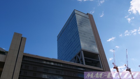 P1000295