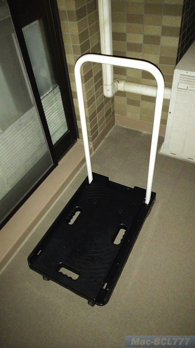 写真01.jpg 写真01