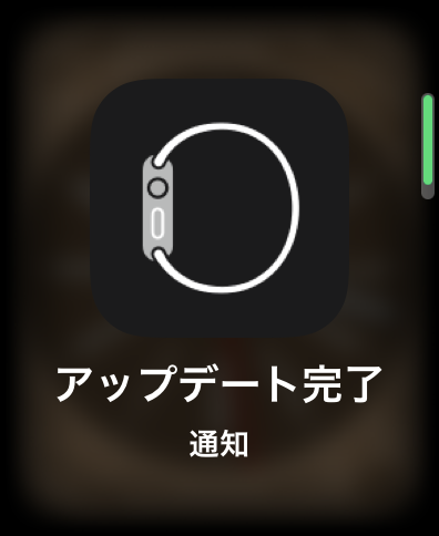 WatchOS 9.3