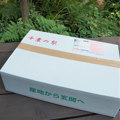 BlogPaint