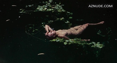 Agutter-Walkabout-HD-n-05