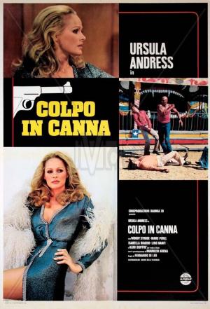 Colpo_in_canna-557014515-mmed