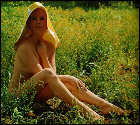 Bibi Andersson â-¢ Photo by Angelo Frontoni PB 70